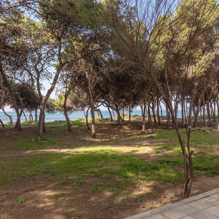 Casa Vacanza Trentapassi Rivabella 2-6 posti letto - Appartamento con 2 Camere da Letto - 21