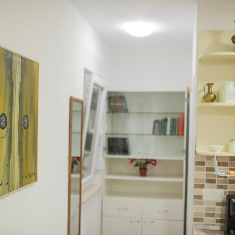 Studio Apartments KIM - Dilberovic - One-Bedroom Apartment - 9