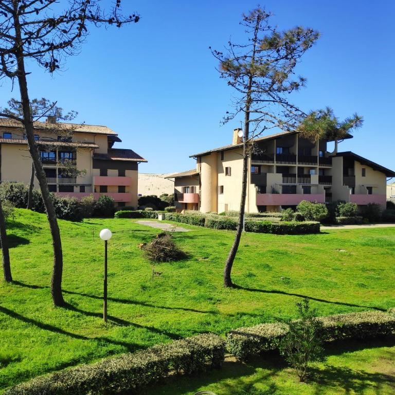 studio Seignosse Océan (plages et commerces à pied) - Monolocale - 23