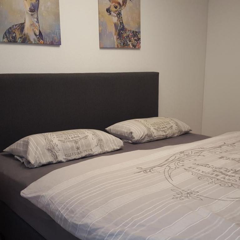 Ferienwohnung mit extra Schlafzimmer und Blick in den Bayrischen Wald oberhalb von Sankt Engelmar - Appartamento con 1 Camera da Letto - 3