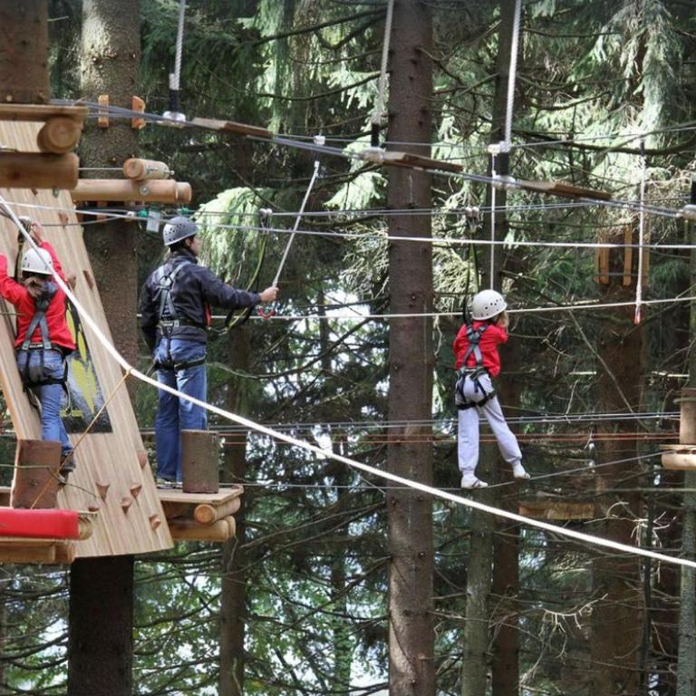 Ferienwohnung mit extra Schlafzimmer und Blick in den Bayrischen Wald oberhalb von Sankt Engelmar - Appartamento con 1 Camera da Letto - 11