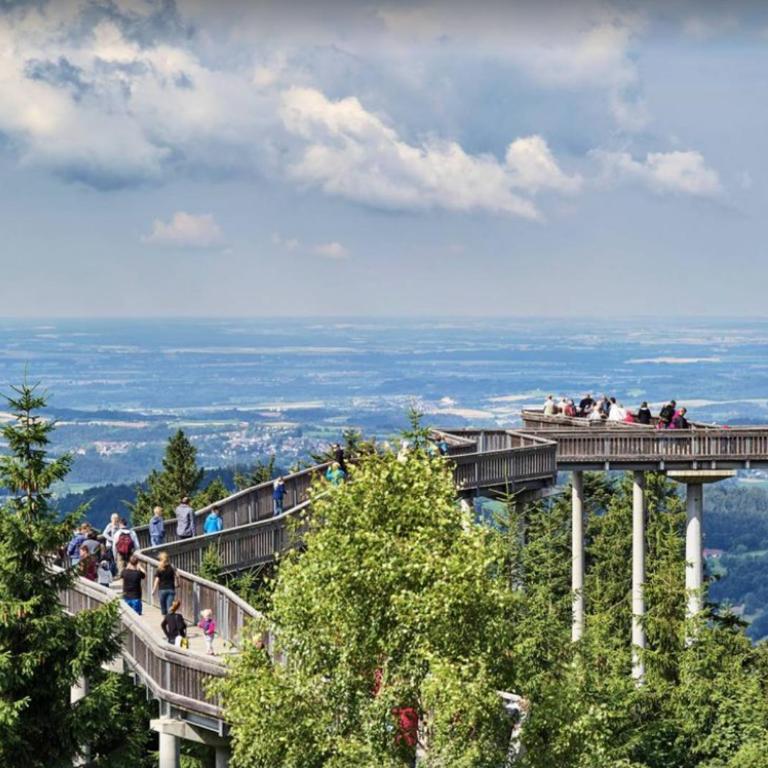 Ferienwohnung mit extra Schlafzimmer und Blick in den Bayrischen Wald oberhalb von Sankt Engelmar - Appartamento con 1 Camera da Letto - 12