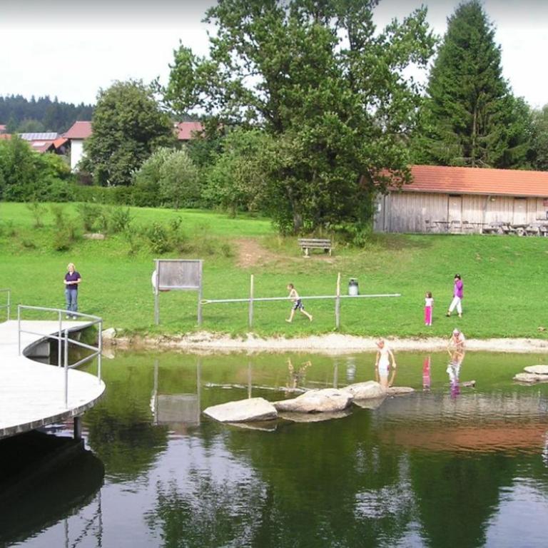 Ferienwohnung mit extra Schlafzimmer und Blick in den Bayrischen Wald oberhalb von Sankt Engelmar - Appartamento con 1 Camera da Letto - 18