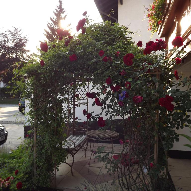Haus Iris - Doppelzimmer ohne Balkon - 7