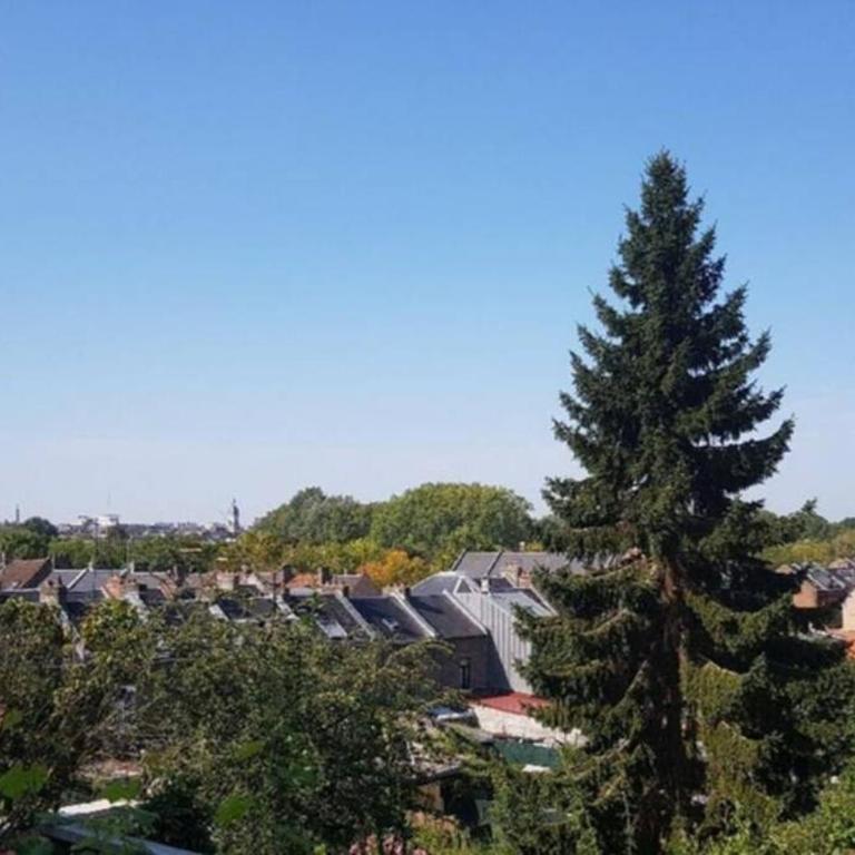 Maison Famille-Confort-Terrasse Jardin-Vue Cathédrale - Three-Bedroom House - 32