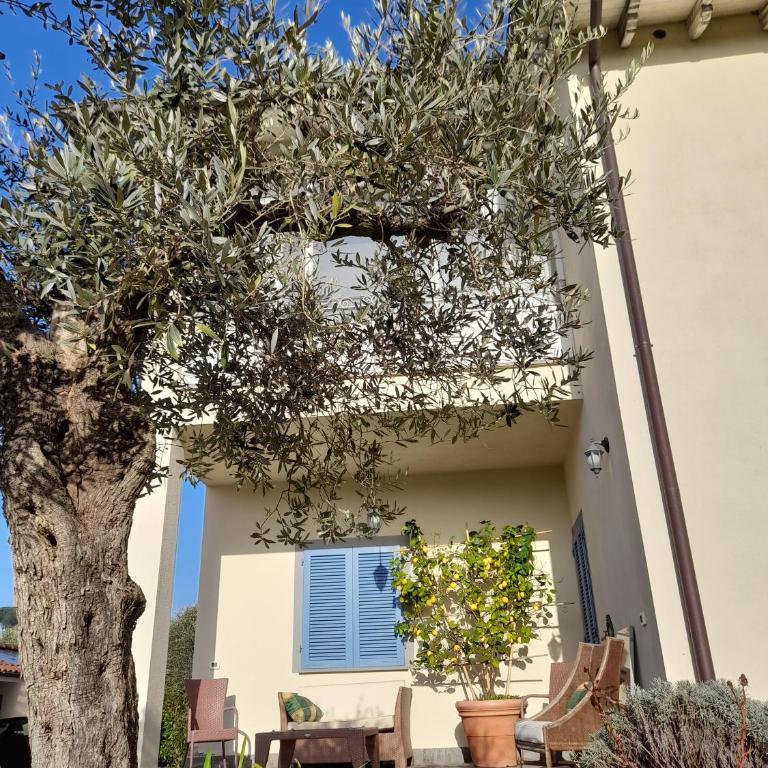 Villa la provenzale - Villa con 3 Camere da Letto - 23