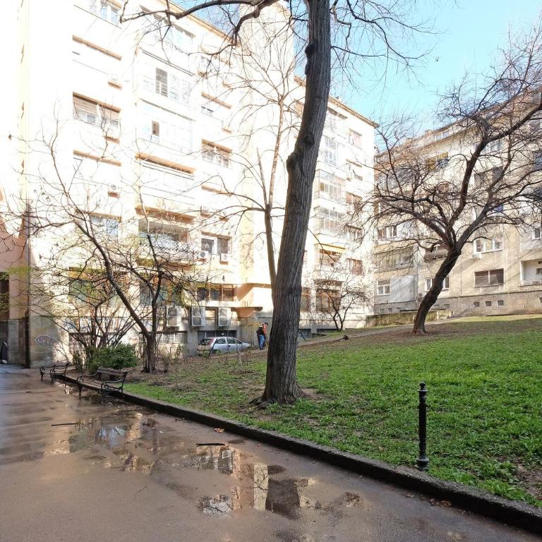 Sava SQUARE Apartment - Apartman sa 3 Spavaće Sobe - 11