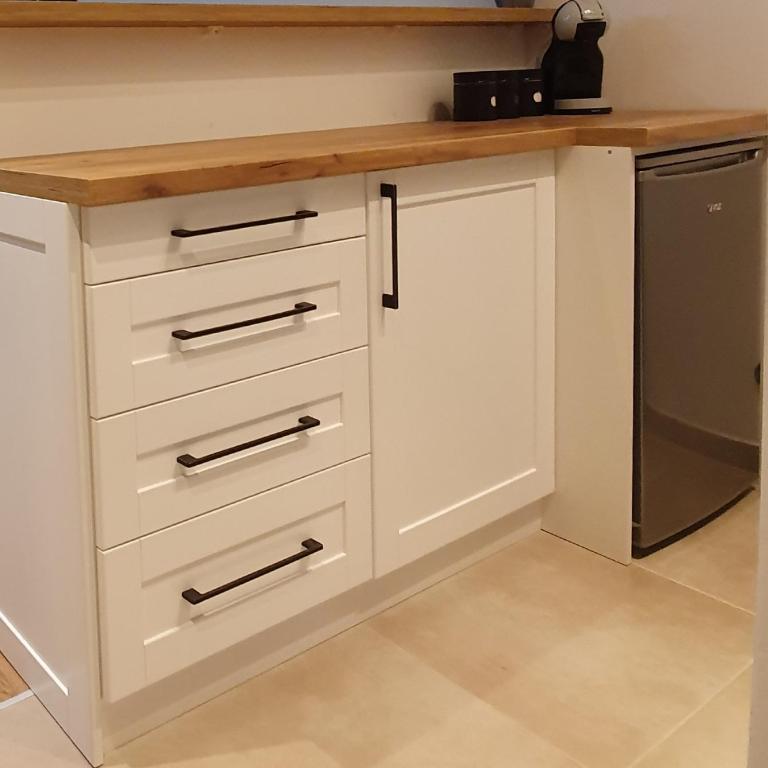 Vila Irina Kopaonik - Apartman IN - Apartman sa 1 Spavaćom Sobom - 9