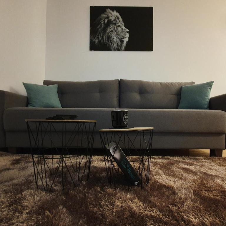 Vila Irina Kopaonik - Apartman IN - Apartman sa 1 Spavaćom Sobom - 2