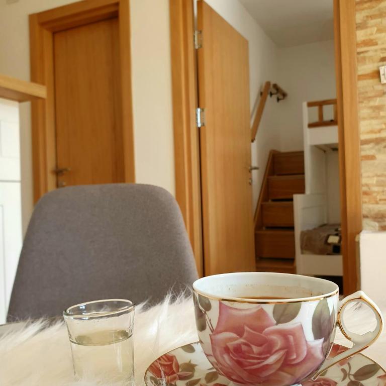 Vila Irina Kopaonik - Apartman IN - Apartman sa 1 Spavaćom Sobom - 4