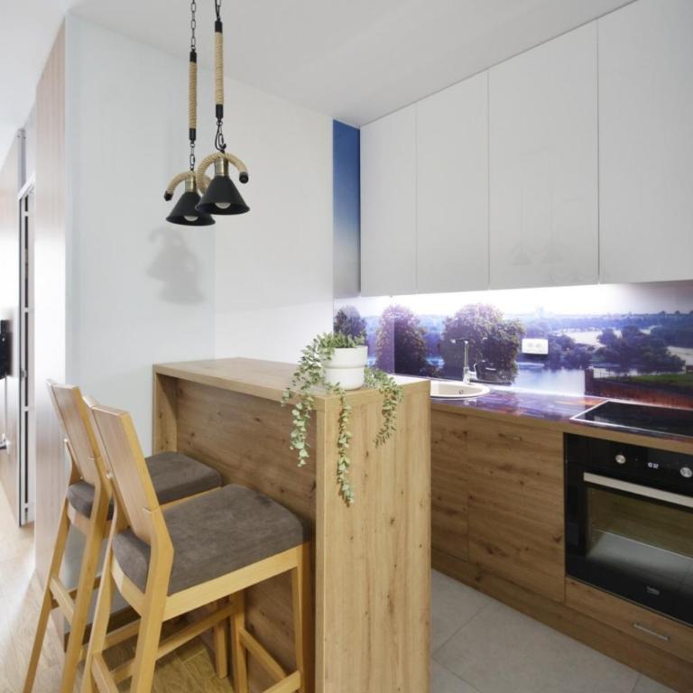 Duki New Belgrade - Apartman sa 1 Spavaćom Sobom - 9