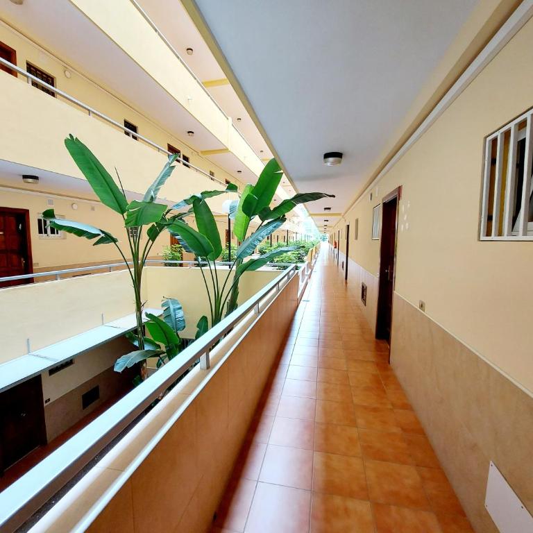 Sunny Cozy Nice Apartment LosCristianos WiFi,Pool - Apartamento de 1 dormitorio - 2