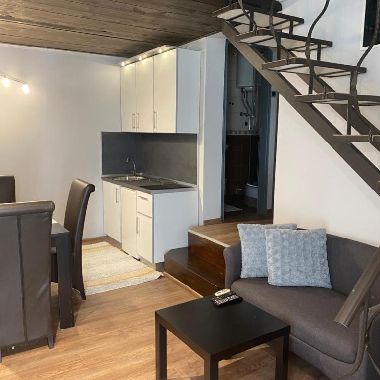 Apartments Jankovic - Apartman s 1 Spavaćom Sobom i Kaučem na Razvlačenje - 4