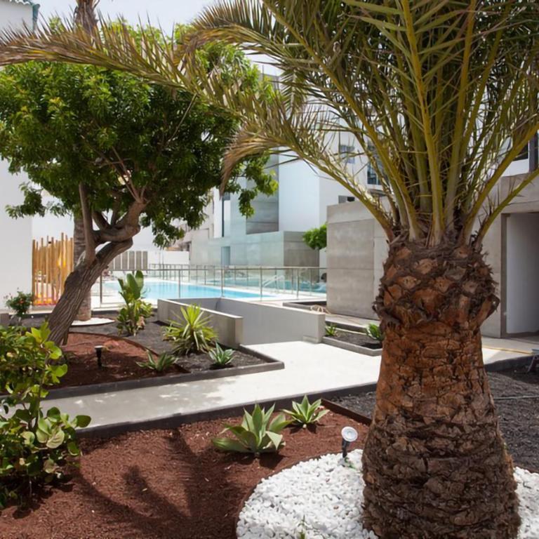 Cozy Flat with Amazing Roof top in Corralejo - Apartamento de 1 dormitorio - 32