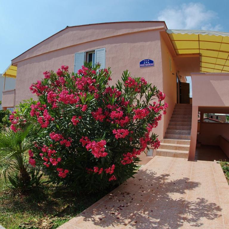 Vila Montenegro - One-Bedroom Apartment - 46