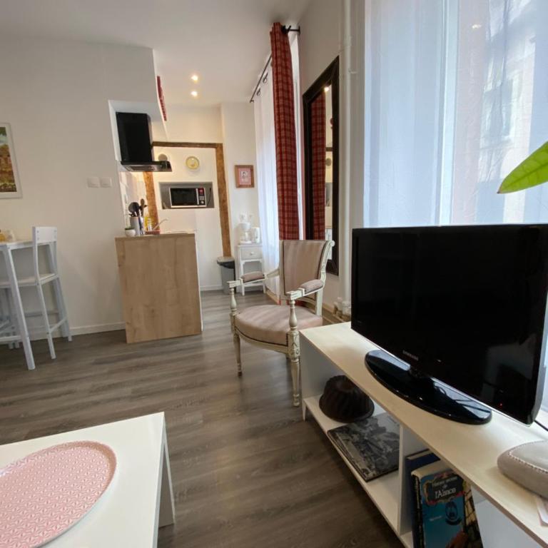 L'Ours de Colmar - Appartements en centre ville - Appartamento - Piano Terra - 3