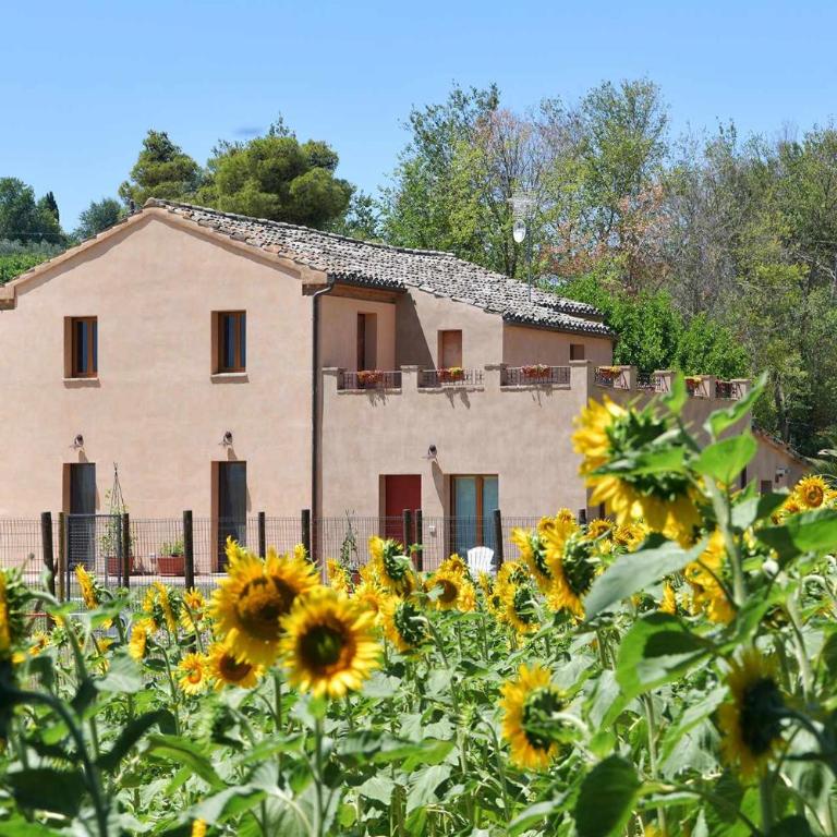Casa Montefiore 13 LT nella tranquilla campagna Marchigiana - Appartamento - Piano Terra - 7