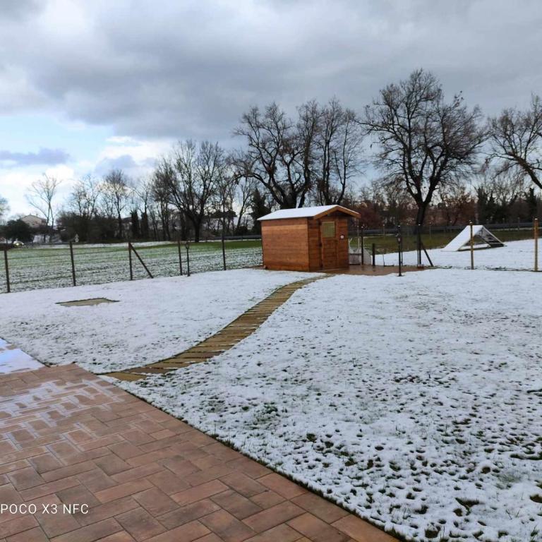 Casa Montefiore 13 LT nella tranquilla campagna Marchigiana - Appartamento - Piano Terra - 41