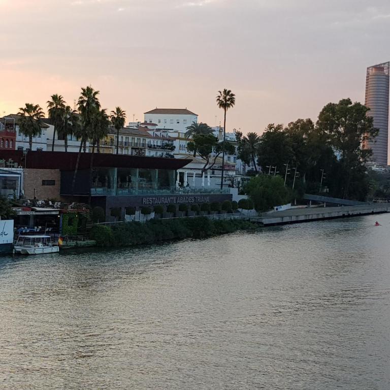 Magnifico Apartamento tipo Dúplex en Triana - Apartamento Dúplex - 36