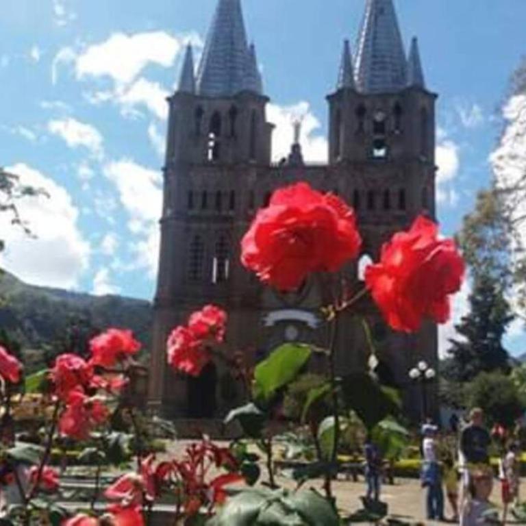 YoamoJardin ... es como estar en casa - Apartment - 9