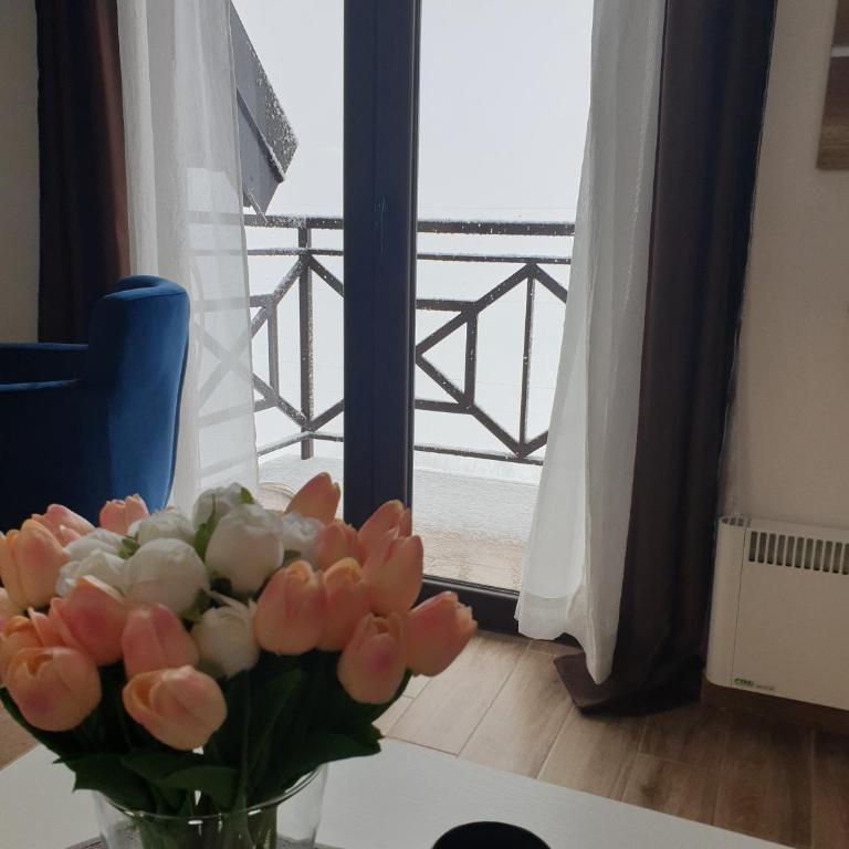 Magic View E16 Kopaonik - Apartment with Mountain View - 5