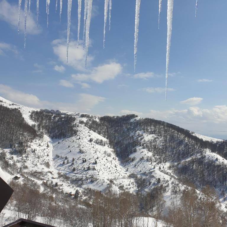 Magic View E16 Kopaonik - Apartment with Mountain View - 33