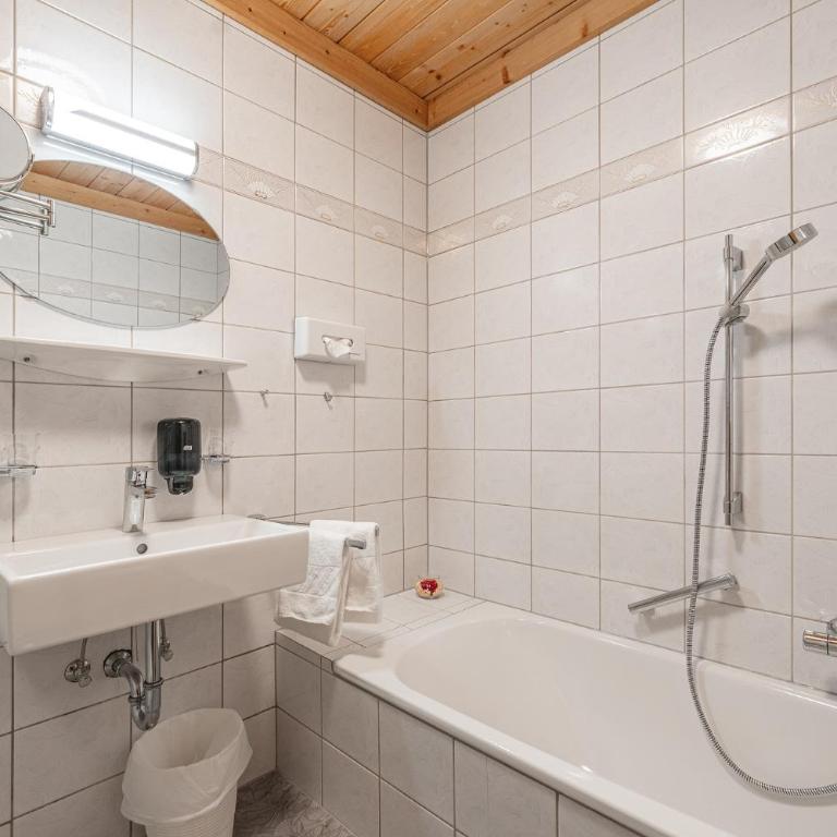 Almkönig - Apartment - 1. Etage - 3