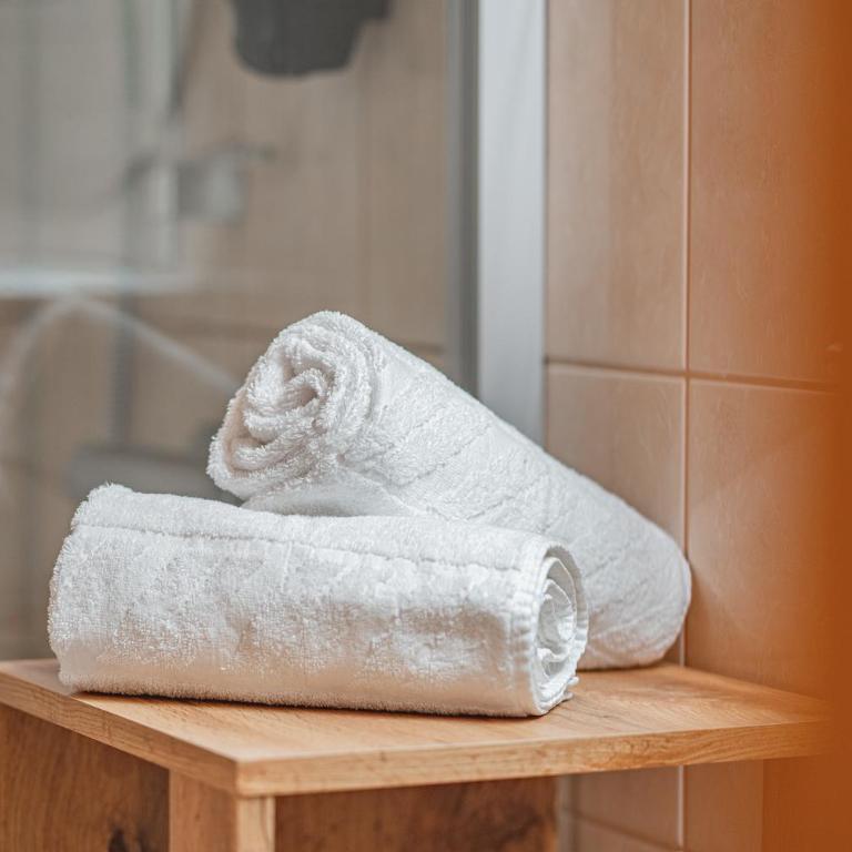 Almkönig - Apartment – 2. Stock - 4