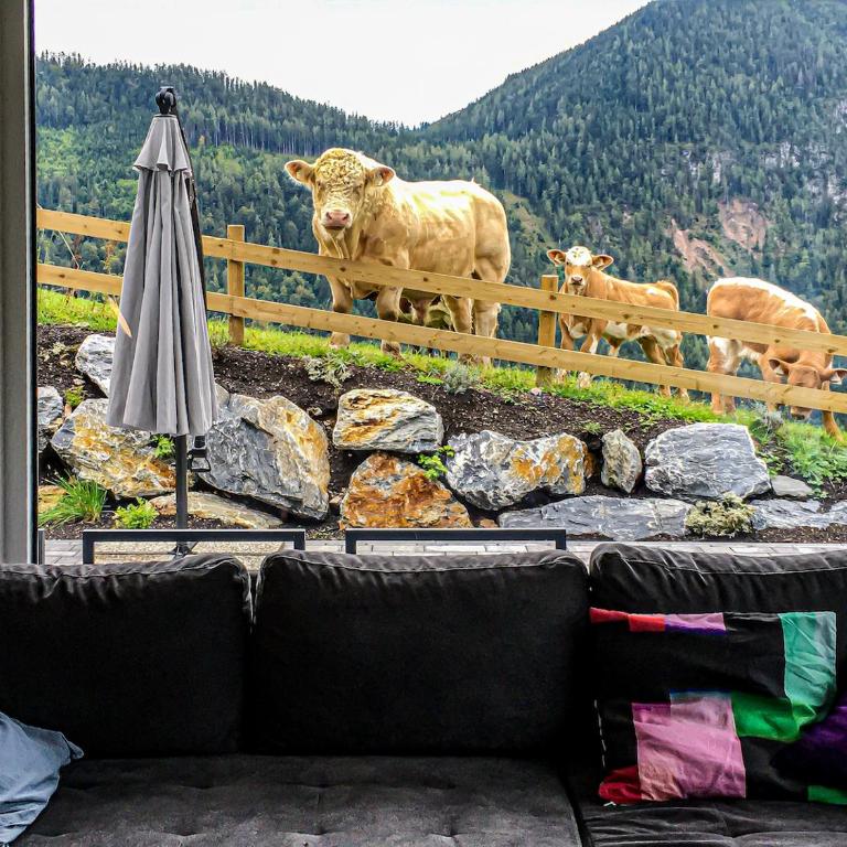 Traumblick Dachstein - Apartment mit 2 Schlafzimmern - 24