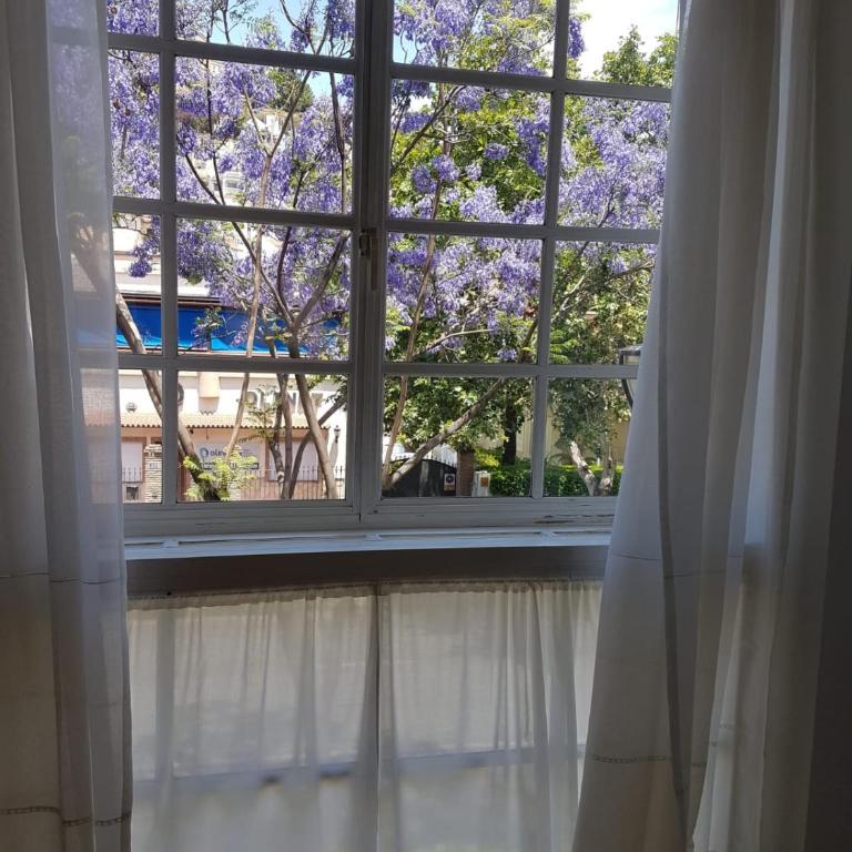 BOLIVIA beach apartments - Apartamento de 2 dormitorios - 2
