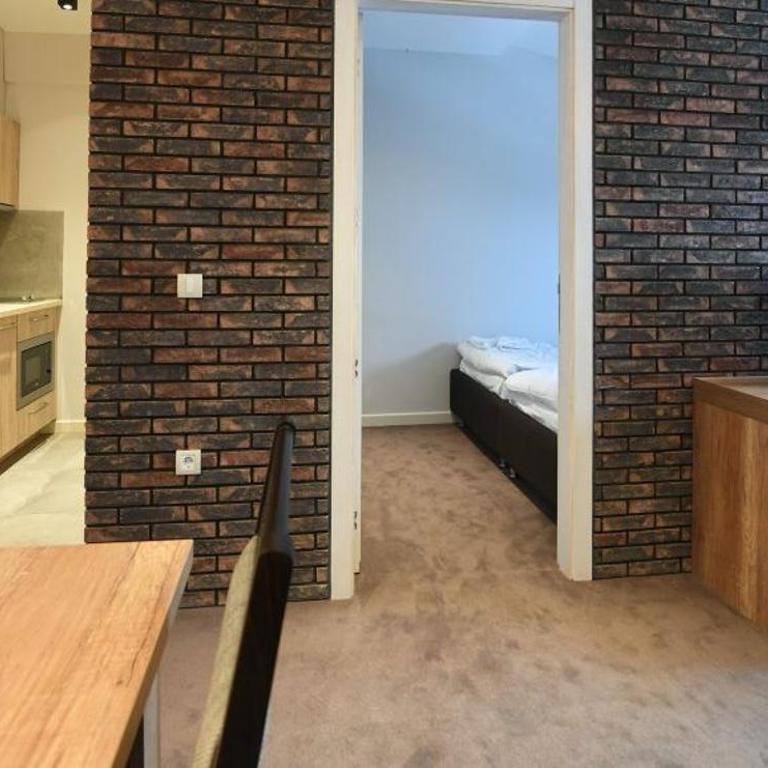 Lonka apartman Kopaonik - Apartman sa 1 Spavaćom Sobom - 5
