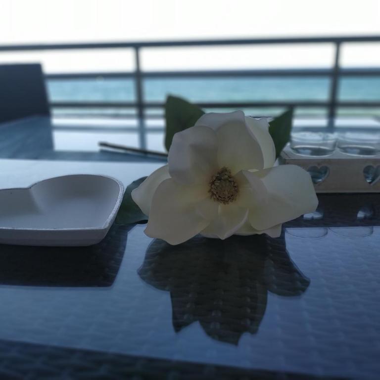Miami APARTAMENTO MARGARITA - Apartamento de 1 dormitorio - 27