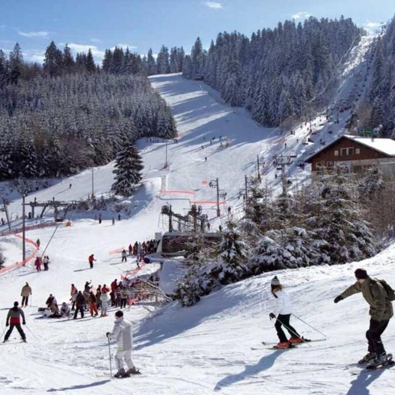 Chalet Danois - Chalet - 43