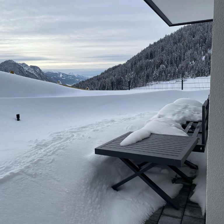 Traumblick Dachstein - Apartment mit 2 Schlafzimmern - 49