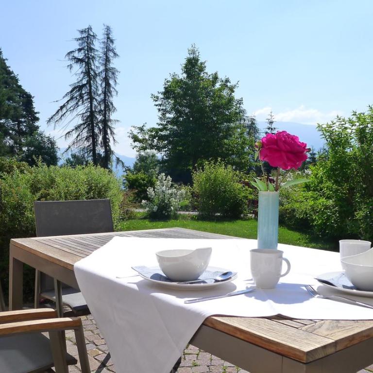Haus Pichler Apartment - Appartamento con 1 Camera da Letto - 15
