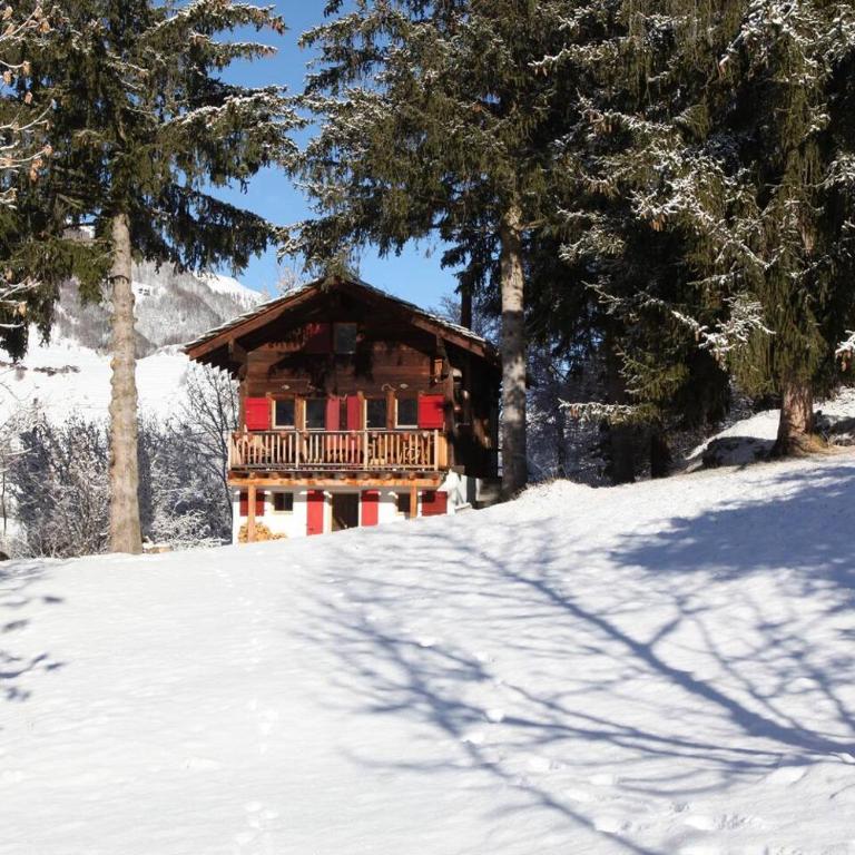 Idyllic chalet in Evolène, with view on the Dent Blanche and the mountains - Apartment - 24