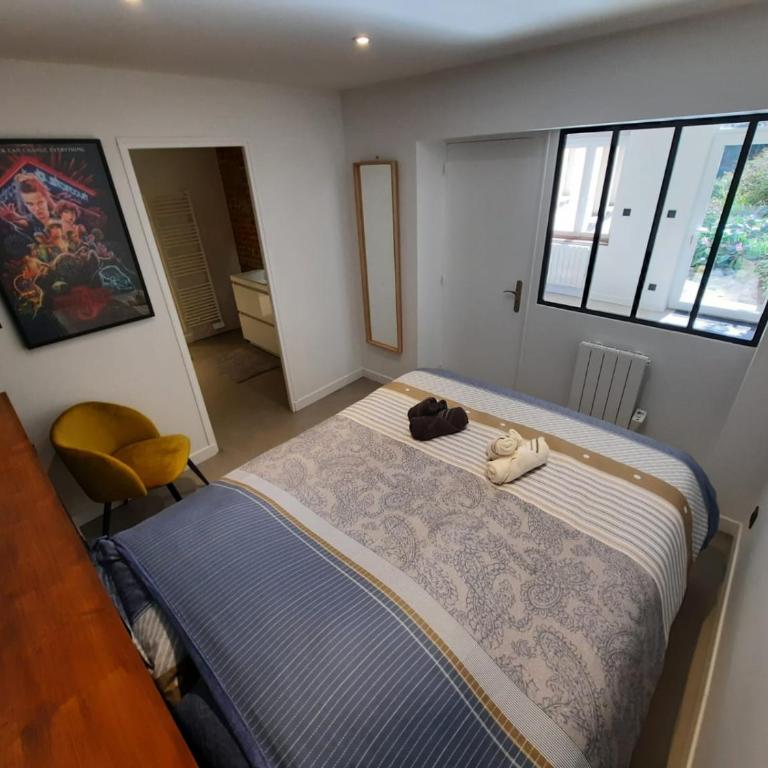 Bel appartement T2 de 50 m2, spacieux et lumineux - 009 - Appartement 1 Chambre - 20