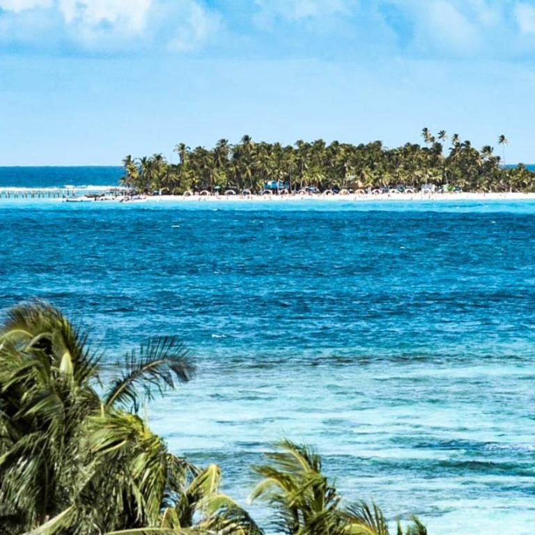 Apartamento En San Andres - Apartamento - 42