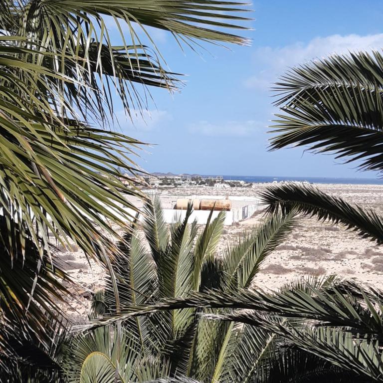 Oasis vistamar - Apartamento con vistas al mar - 20