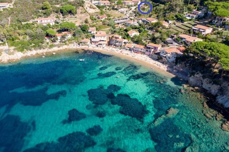 Appartamento Il Prado - Goelba - Appartamento - 1
