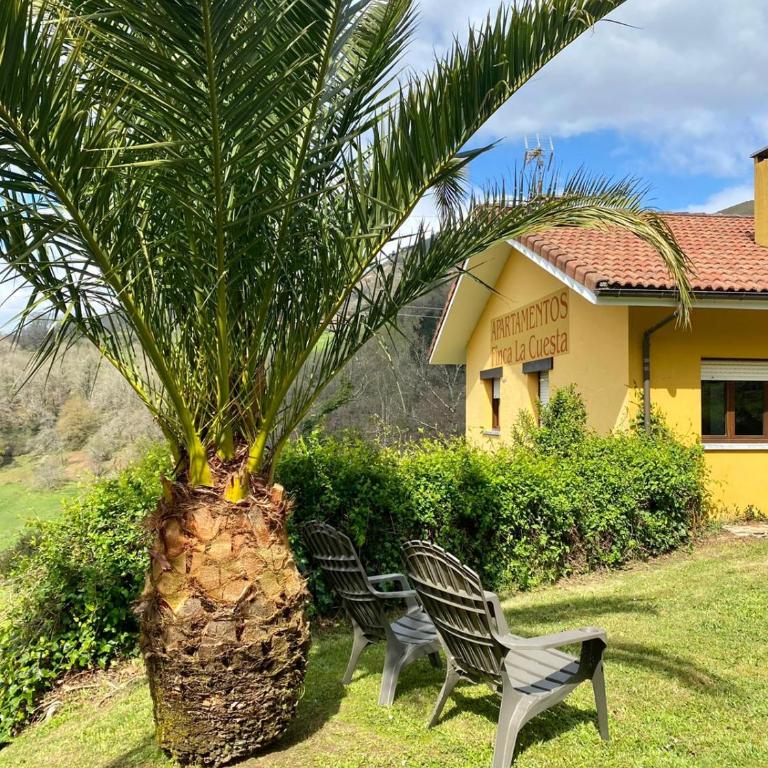 Finca La Cuesta - Chalet - 58