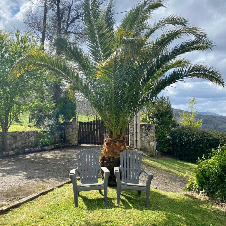 Finca La Cuesta - Chalet - 59