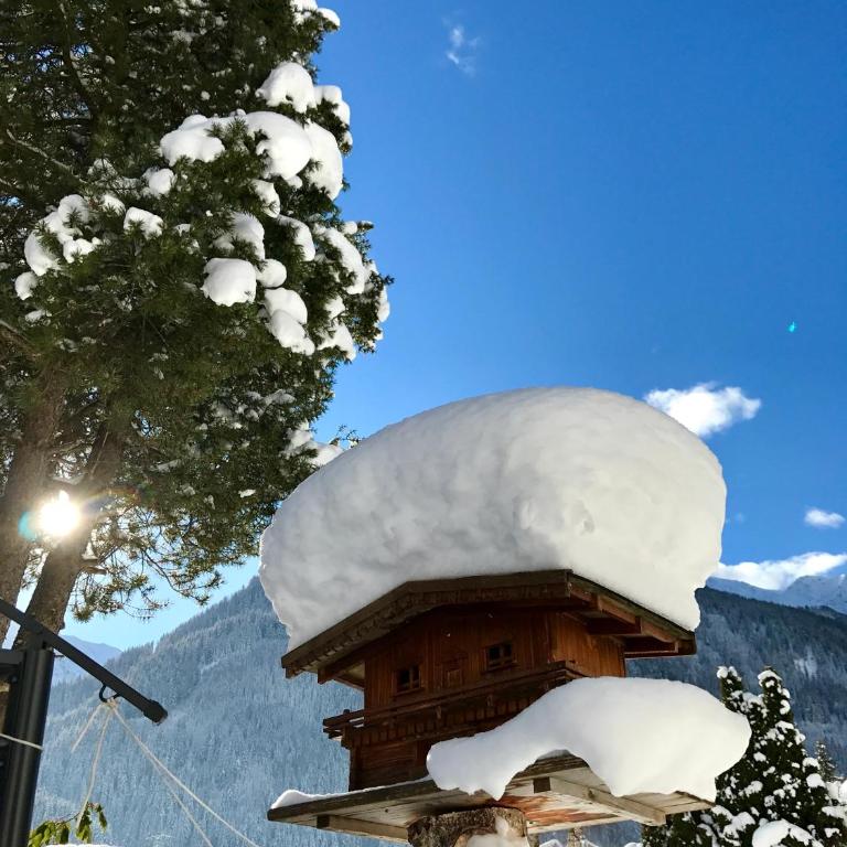 Adlers Apartments Arlberg - Apartment mit 1 Schlafzimmer - 29