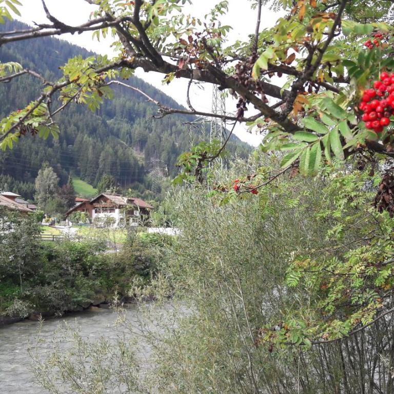 Adlers Apartments Arlberg - Apartment mit 1 Schlafzimmer - 32
