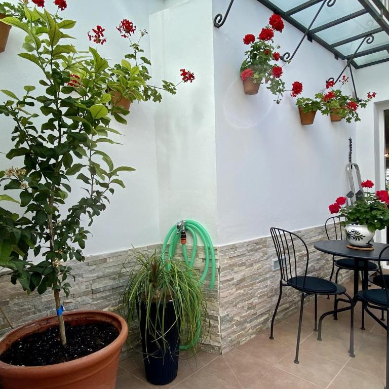 Casa Animas Casasol Centro - Casa Unifamiliar de 3 dormitorios - 10