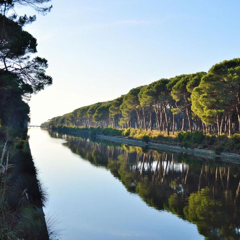 Cisanello Pisa Apartment - Two-Bedroom House - 30