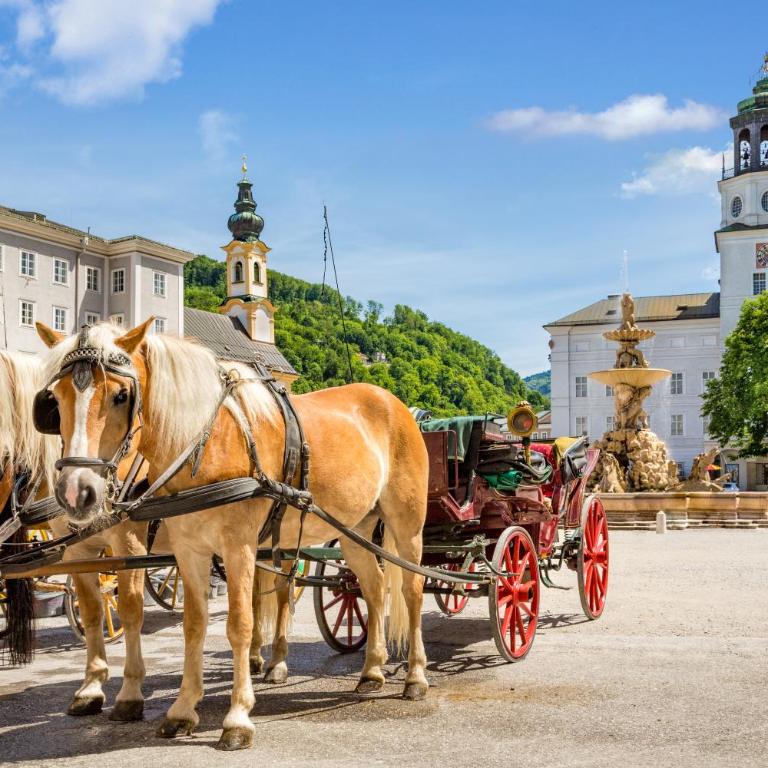 Family Wellhouse Green Garden direct in Salzburg, sunny big garden, up to 16 pax, bikes for free, BBQ, sunbeds, parking for free, 15 min sound of music - Villa - 65