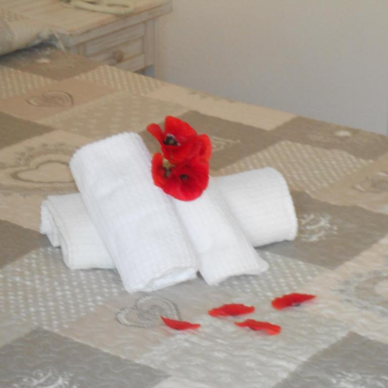 Hotel Tabby - Camera Matrimoniale Comfort - 8