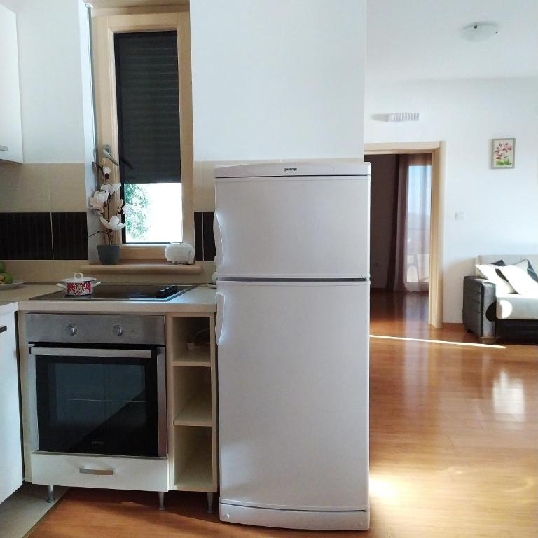 Sunny Bay Apartments - One-Bedroom Apartment - 4