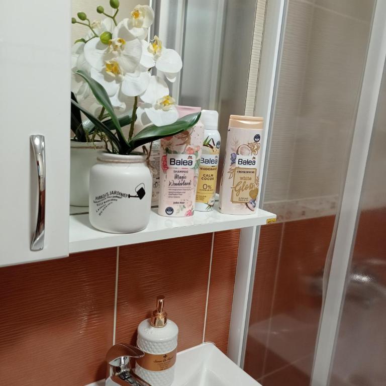 Apartman Harmonija Vrnjačka Banja - Apartman - 21